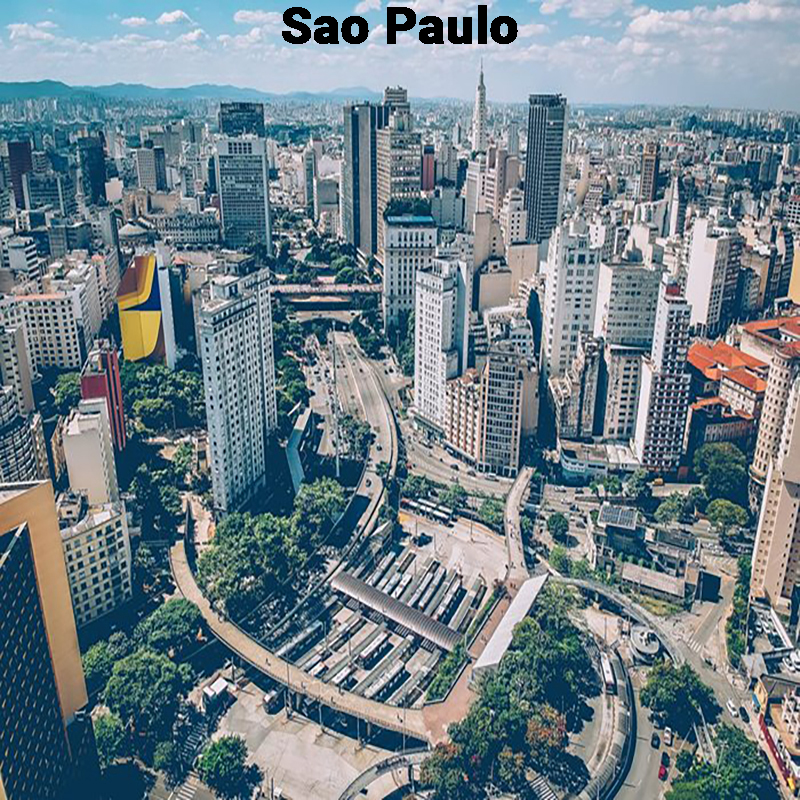 Link to the São Paulo page